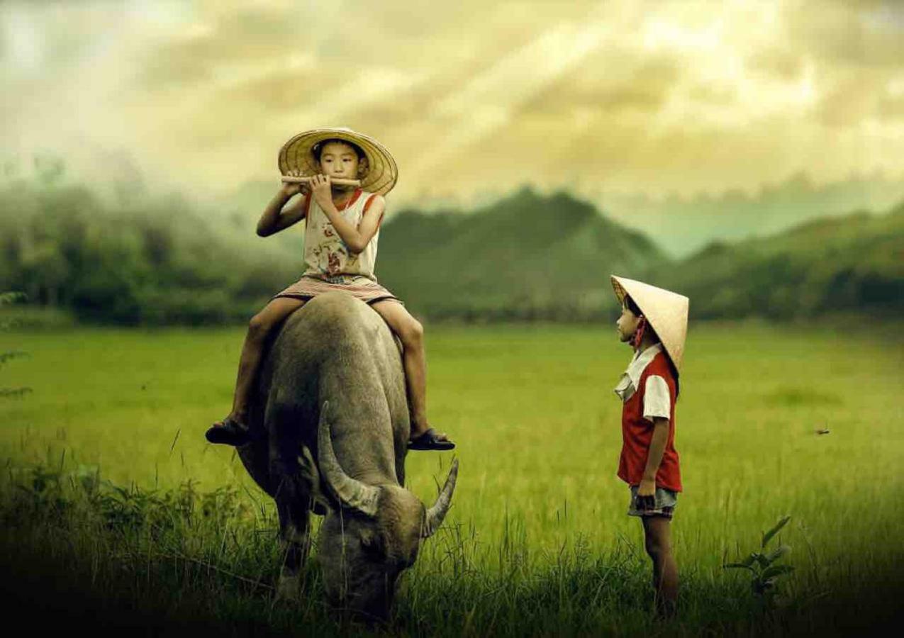Ninh Binh Village 1990 Homestay Ngoại thất bức ảnh