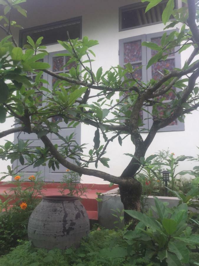 Ninh Binh Village 1990 Homestay Ngoại thất bức ảnh